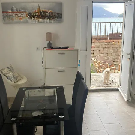 Plaza Stari Grad Pjena Od Mora Lägenhet Budva